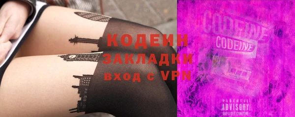 прущие грибы Аркадак