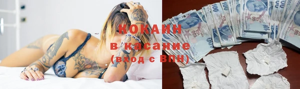 спайс Арсеньев