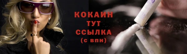 дживик Липки