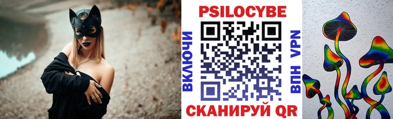 наркота  Шацк  Псилоцибиновые грибы MAGIC MUSHROOMS 